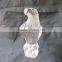 eagle trophy crystal