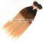 1B/4/27# Brazilian Ombre Straight Three Tone Virgin Brazilian Ombre Hair