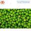 Fried Green Peas Fryer|Fried Green Peas Frying Machine Suppliers|Hot Sale Fried Green Peas Deep Frying Machine