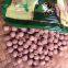 Lotus Seed Lotus Nut Lotus Kernel Dried Red Lotus Seed Brown Lotus Seed Without Core Plumule