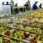 fruit juicer production line/apple juice machine