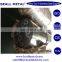 top quality 1.6356 X2NiCoMoTi18-12-4 alloy steel round bar manufacturer