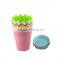 Crown Lace Flower Pot Plastic Planter