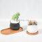 Succulent flower pots black and white round belly-shaped indoor ceramic flower pots