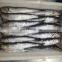 Good price frozen anchovy fish block for export