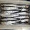 Wholesale frozen anchovy whole for BBQ for canned