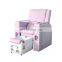 Modern Luxury Beauty Pink Pedicure Spa Chair 2021 Sofa