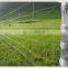 Endurable High Quality Poultry Welded Wire Mesh Netting  for Horse Cattle Paddocks