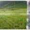 Hot Dipped Galvanized Welded Wire Mesh Poultry Fence Wire Mesh Panel