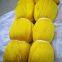 Fishing nets