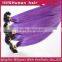 Charming color elegant purple no shedding tangle free hair weft purple u tip hair tape hair extensions