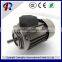 High Speed IE3 3 Phase Motor 220v