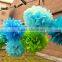 Pom Pom Ball/Paper Fan /Paper Garland Of Wedding Party Decorations