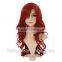 Supply top grade human hair wigs