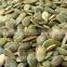 China AA Grade Pumpkin Seeds Kernels With Best Price