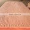 Rotary Cut Bintangor wood face Veneer for plywood
