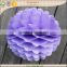 Easter Bunny Craft decorative tissue paper Honeycomb backdrop balls