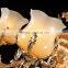 Newest 24 Light Style Luxury Chandelier Crystal LED Crystal Chandelier Light Diamond Ring Pendant LED Light