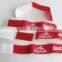 Custom Logo Printed Nylon Ski Strap