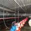 Complete controlled frame poultry chicken shed