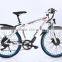 High quality 250W mountain bike electric with 36V 10.4Ah lithium battery