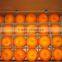 Wholesales Nanfeng Sweet Mandarin Orange