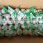 HACCP,ISO Certification and Liliaceous Vegetabless Product Type red Fresh garlic 2015 price