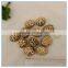 Dried Mushroom Export price from Mushroom Greenhouse