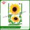 Best Quality China Made  Wholesale Kids Deco Wall Stickers