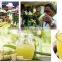 Neweek large sugar cane processing type 4 t sugarcane juicer machine