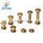 Stainless steel blind screws,blind bolt