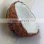 COCONUT FRUIT MAGNET RESIN 3D FRIDGE MAGNET SOUVENIR