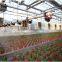 Greenhouse Irrigation Fog Machine
