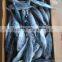 Land Frozen Horse Mackerel Frozen 20 25 cm +