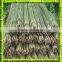 The best natural bamboo poles with green skin
