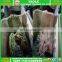 Wholesale second hand clothing used clothing used clothes in bales