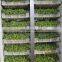 top selling low price mung bean sprout maker