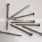 China manufacture common nail with high quality