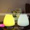 Night light 3 Color Temperature Adjustable LED table lamp