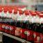 Low cost carbonated soft drink bottling plant