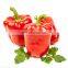 frozen red pepper frozen red chili with good quality and moderate price in China