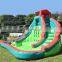 Low price huge adult and kids amusement backyard dry inflatable shark water slide