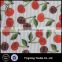 100% Polyester Vivid Cherry Pattern Printed Organza Fabric for Women's Dress