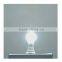 9W A60 Dimmable Color Temperature Adjustable LED Bulb Light