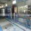 3000L/H Industrial RO Water Plant/ RO Water Treatment System