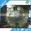 Good quality light human sized hamster ball,light zorbing prices,inflatable light zorb ball for sale