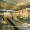 Poultry Farm use A type broiler cage