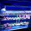 Hot sale 72W-288W aquarium led lighting for sps corals with 3w royal blue and white Epistar chip leds