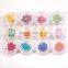 2016 Latest Hot Nail Art Dry Flower Decoration DIY Flower Dry for Nail Art