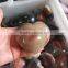 Romantic Quartz polished ocean jasper crystal Hearts decorations